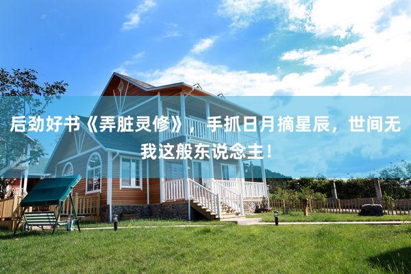 后劲好书《弄脏灵修》，手抓日月摘星辰，世间无我这般东说念主！