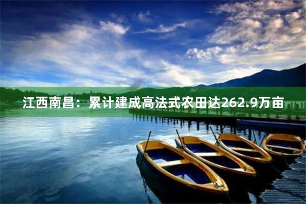 江西南昌：累计建成高法式农田达262.9万亩