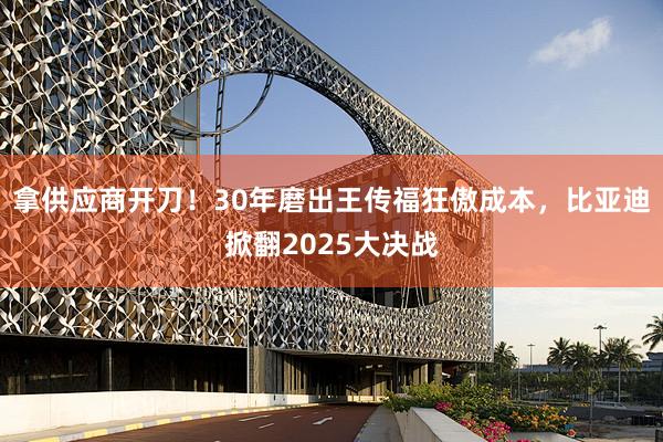 拿供应商开刀！30年磨出王传福狂傲成本，比亚迪掀翻2025大决战