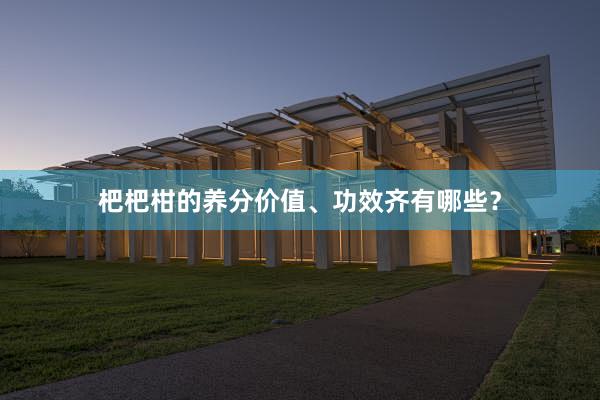 杷杷柑的养分价值、功效齐有哪些？
